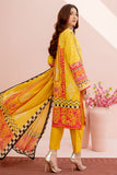 ACS-05 - SAFWA AMBER 3-PIECE EMBROIDERED COLLECTION VOL 01