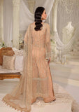 ZYVA luxury formal dress showcasing exquisite embroidered poly net in Elegant Peach.