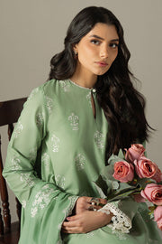 Cross Stitch Chikankari Lawn Unstitched 3Pc Suit D-06 SAGE GARDEN