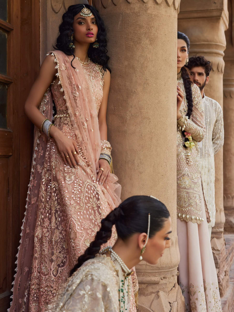 Afrozeh Dastangoi Unstitched Net 3Pc Suit AWE-23-V1-10 MADHUR
