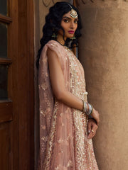 Afrozeh Dastangoi Unstitched Net 3Pc Suit AWE-23-V1-10 MADHUR