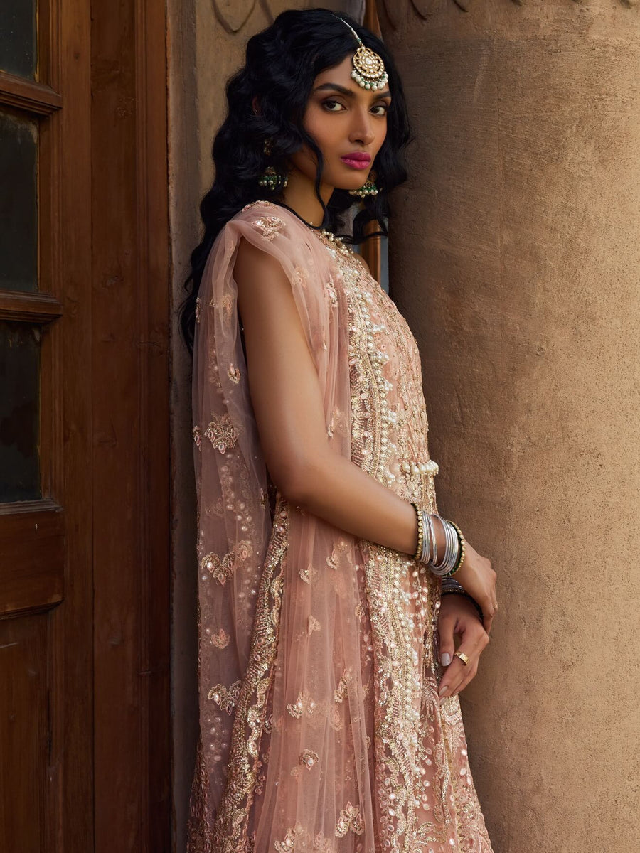 Afrozeh Dastangoi Unstitched Net 3Pc Suit AWE-23-V1-10 MADHUR