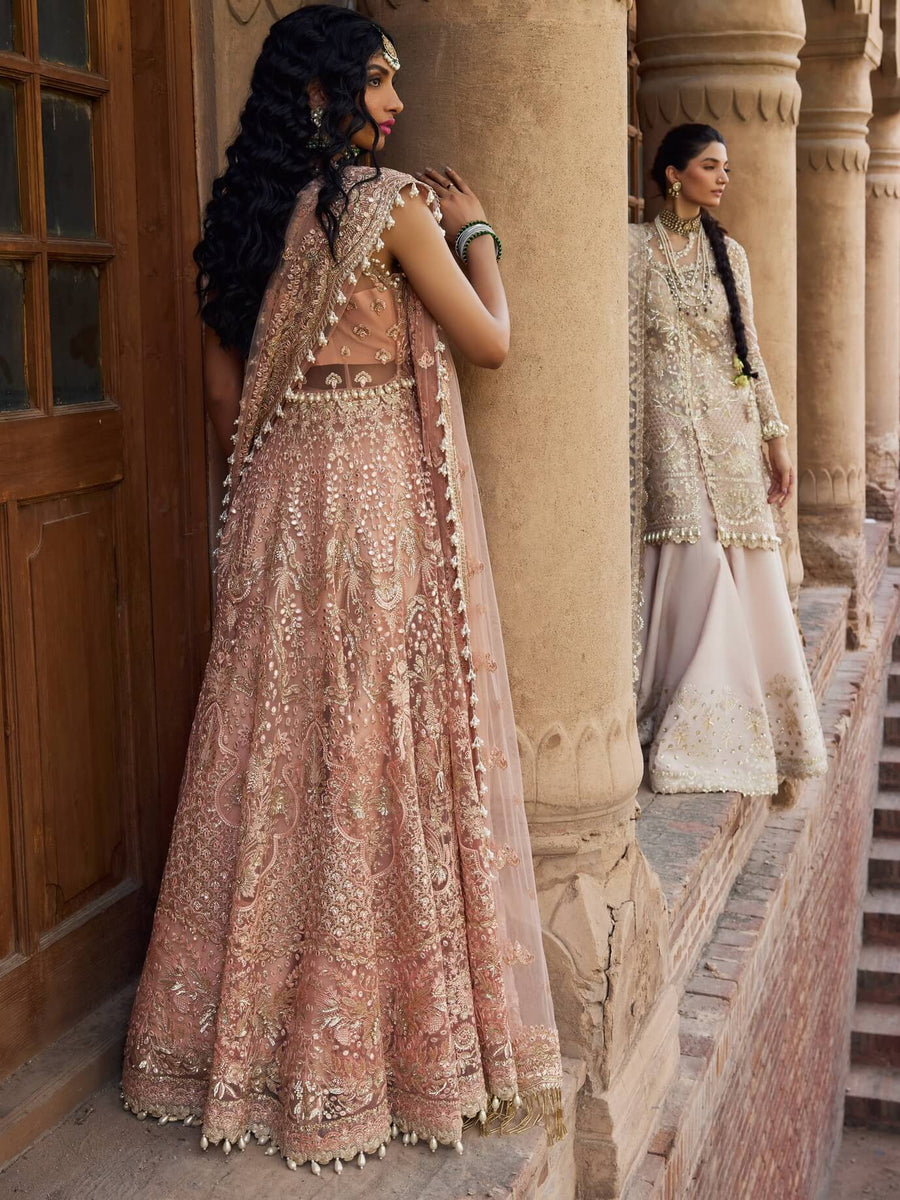 Afrozeh Dastangoi Unstitched Net 3Pc Suit AWE-23-V1-10 MADHUR