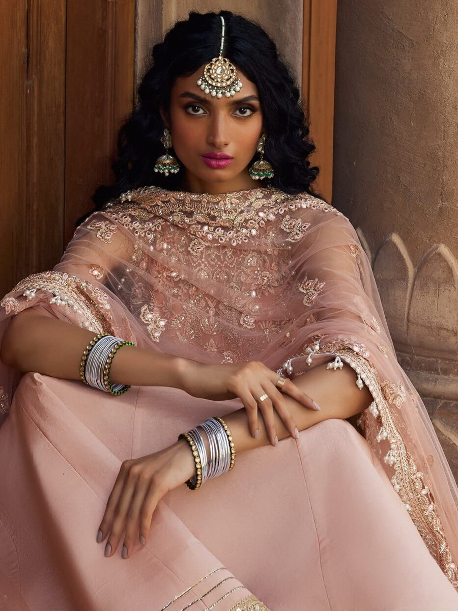 Afrozeh Dastangoi Unstitched Net 3Pc Suit AWE-23-V1-10 MADHUR