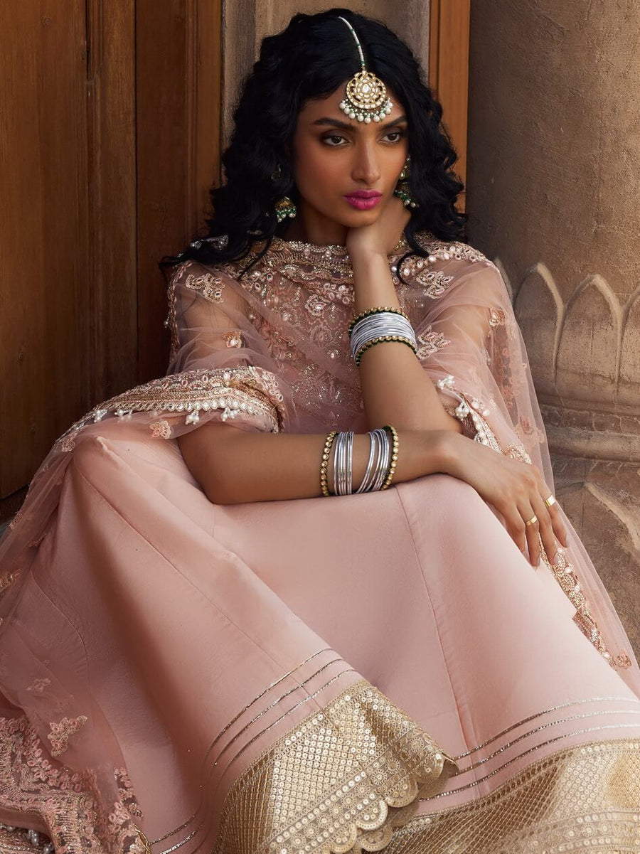 Afrozeh Dastangoi Unstitched Net 3Pc Suit AWE-23-V1-10 MADHUR