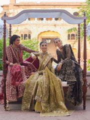 Afrozeh Dastangoi Unstitched Organza 3Pc Suit AWE-23-V1-03 SHEHNAZ