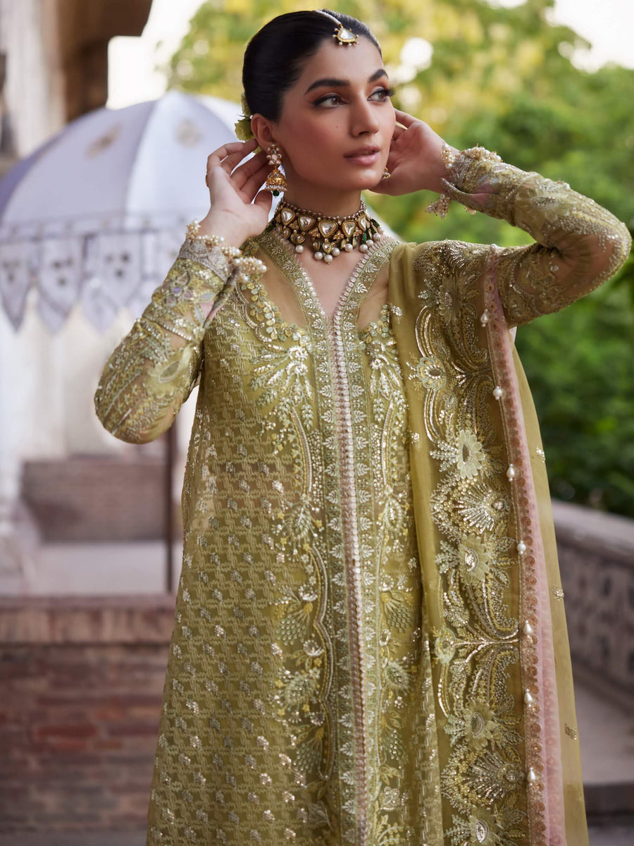 Afrozeh Dastangoi Unstitched Organza 3Pc Suit AWE-23-V1-03 SHEHNAZ