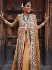 Afrozeh Dastangoi Unstitched Organza 3Pc Suit AWE-23-V1-09 SHAFAQ