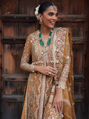 Afrozeh Dastangoi Unstitched Organza 3Pc Suit AWE-23-V1-09 SHAFAQ