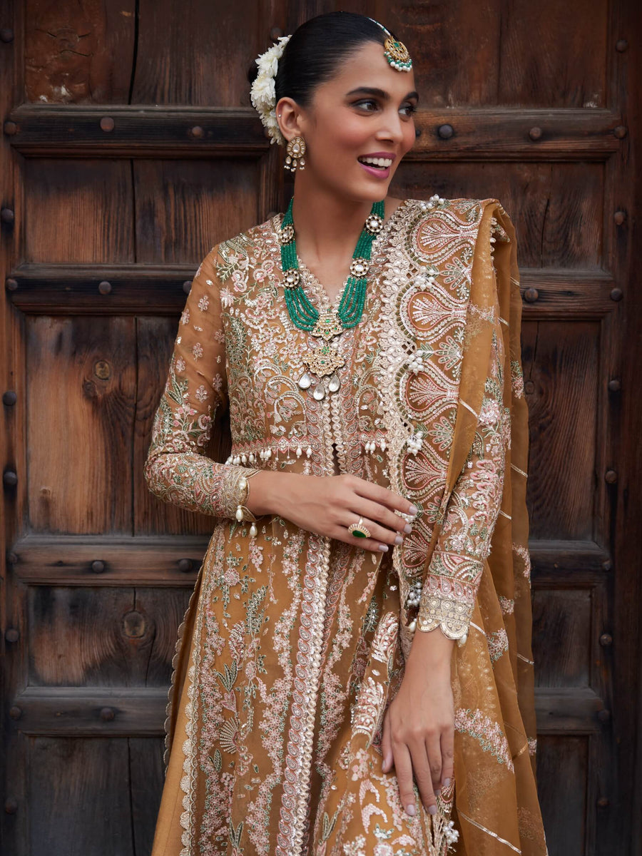 Afrozeh Dastangoi Unstitched Organza 3Pc Suit AWE-23-V1-09 SHAFAQ