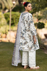 AF-PL-6040-Alaska PRINTED LAWN