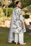 AF-PL-6040-Alaska PRINTED LAWN