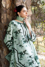AF-PL-6042-Arsh PRINTED LAWN