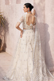 chiffon collection