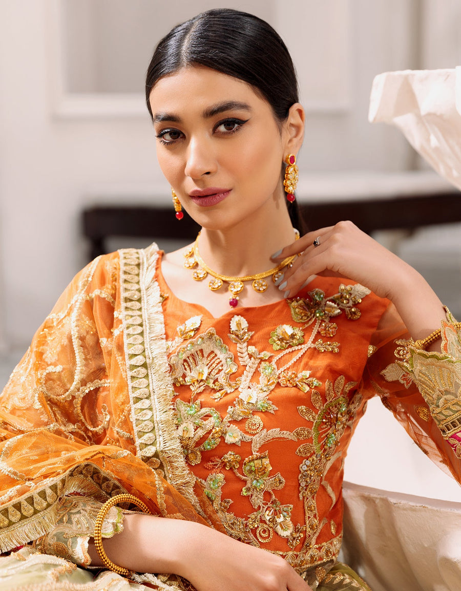 chiffon collection pk