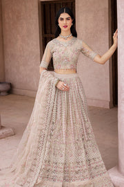 chiffon collection