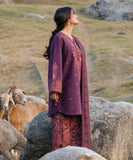 Sapphire Embroidered Khaddar Unstitched 3Pc Suit 0U3PEDY25V93