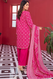 SGL-13 - SAFWA GLORIA KHADDAR 3 PIECE COLLECTION