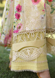 Close up image of SUNSHINE BOUQUET beautiful Embroidered Organza Front Daman with Solid Dyed Cambric Trouser. 