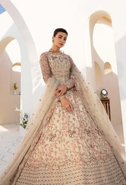 Nyra by Akbar Aslam Embroidered Net Suit - 1463 SELENE