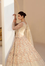 Nyra by Akbar Aslam Embroidered Net Suit - 1463 SELENE