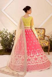 Nyra by Akbar Aslam Embroidered Net Suit - 1465 MEYER
