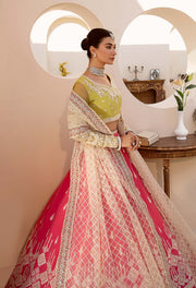 Nyra by Akbar Aslam Embroidered Net Suit - 1465 MEYER