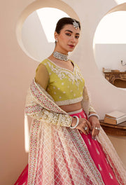 Nyra by Akbar Aslam Embroidered Net Suit - 1465 MEYER