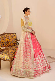 Nyra by Akbar Aslam Embroidered Net Suit - 1465 MEYER