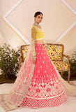 Nyra by Akbar Aslam Embroidered Net Suit - 1465 MEYER
