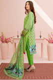 ACS-04 - SAFWA AMBER 3-PIECE EMBROIDERED COLLECTION VOL 01