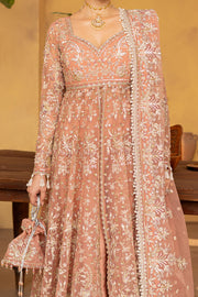 women's clothing