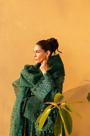 elegant dress