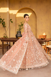 chiffon luxury collection
