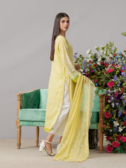 edenrobe Premium Embroidered Lawn Unstitched 3Pc Suit EWU22V1-26510