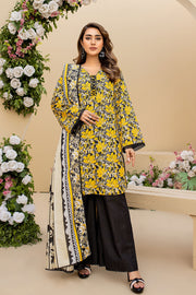 ASK-06 - SAFWA AMORA MASURI KHADDAR 3 PIECE COLLECTION