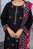 SEC-97 - SAFWA ETSY 3-PIECE EMBROIDERED COLLECTION VOL 08