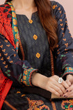 ACS-09 - SAFWA AMBER 3-PIECE EMBROIDERED COLLECTION VOL 01