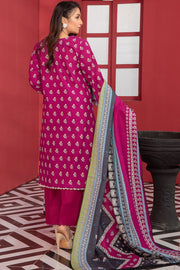SGL-19 - SAFWA GLORIA KHADDAR 3 PIECE COLLECTION