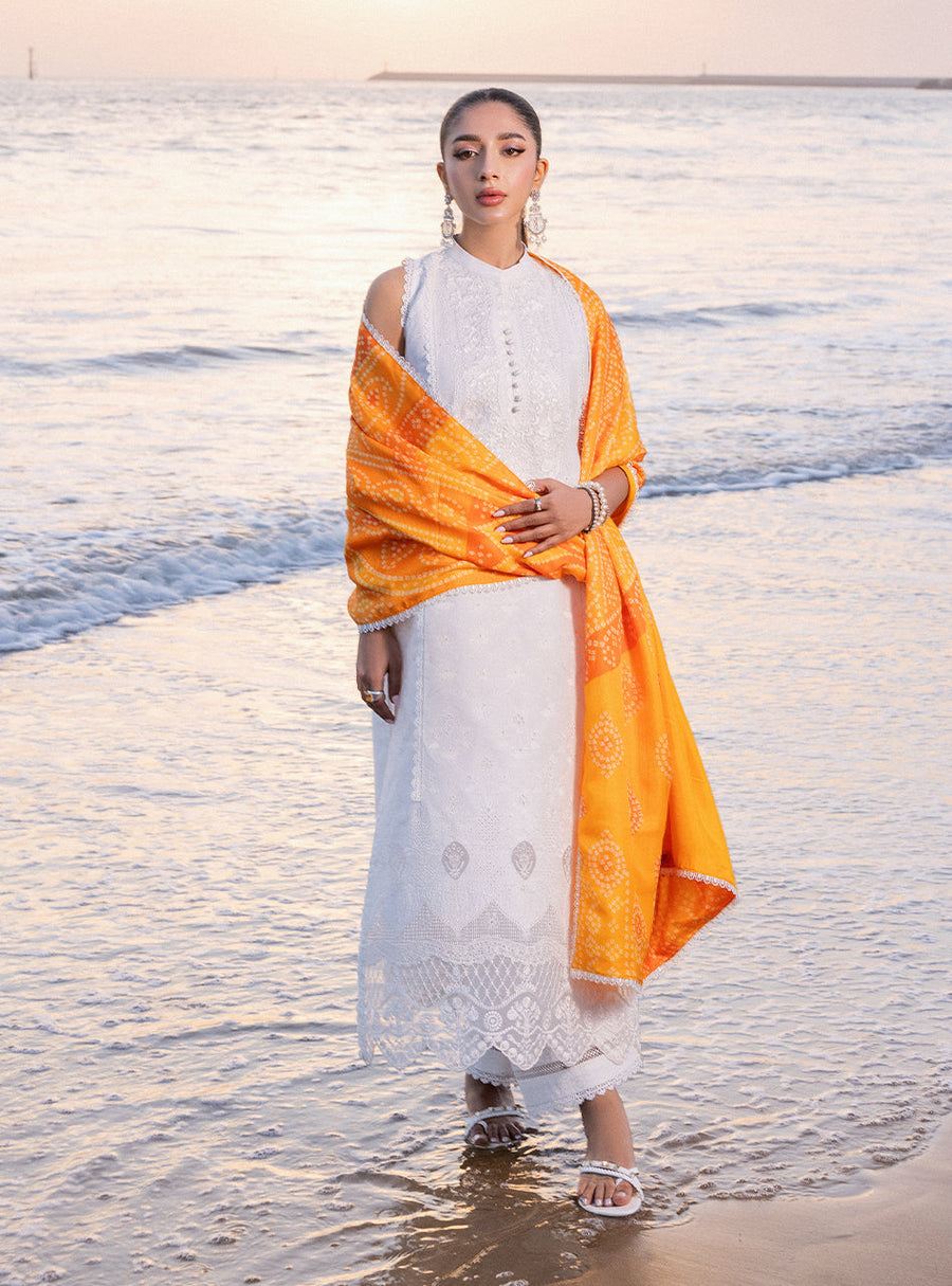 Zainab Chottani Embroidered Chikankari Lawn Unstitched 3Pc Suit D-03B Chunari