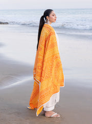 Zainab Chottani Embroidered Chikankari Lawn Unstitched 3Pc Suit D-03B Chunari