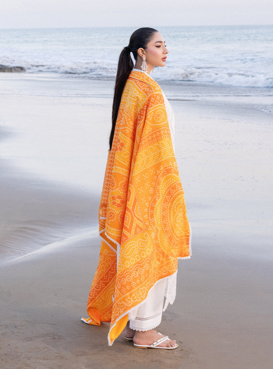 Zainab Chottani Embroidered Chikankari Lawn Unstitched 3Pc Suit D-03B Chunari