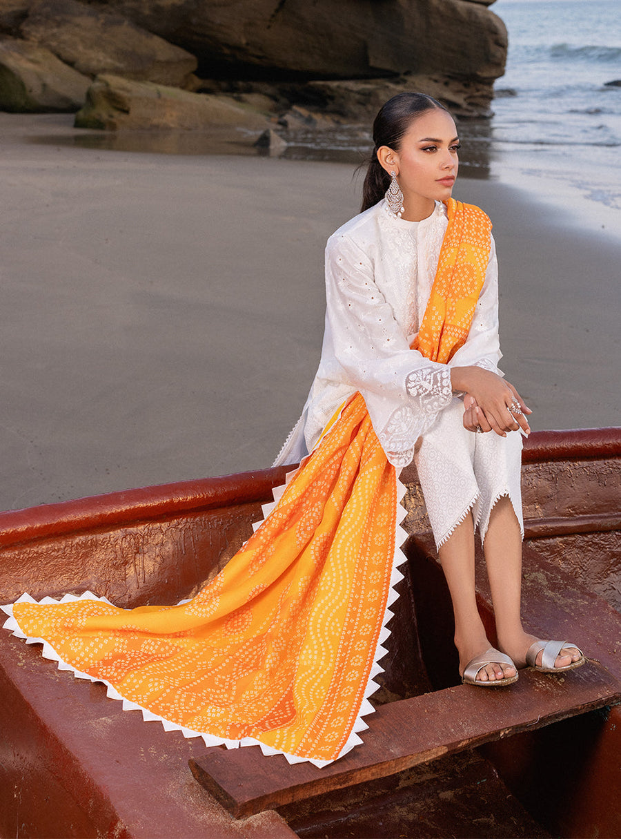 Zainab Chottani Embroidered Chikankari Lawn Unstitched 3Pc Suit D-03B Chunari
