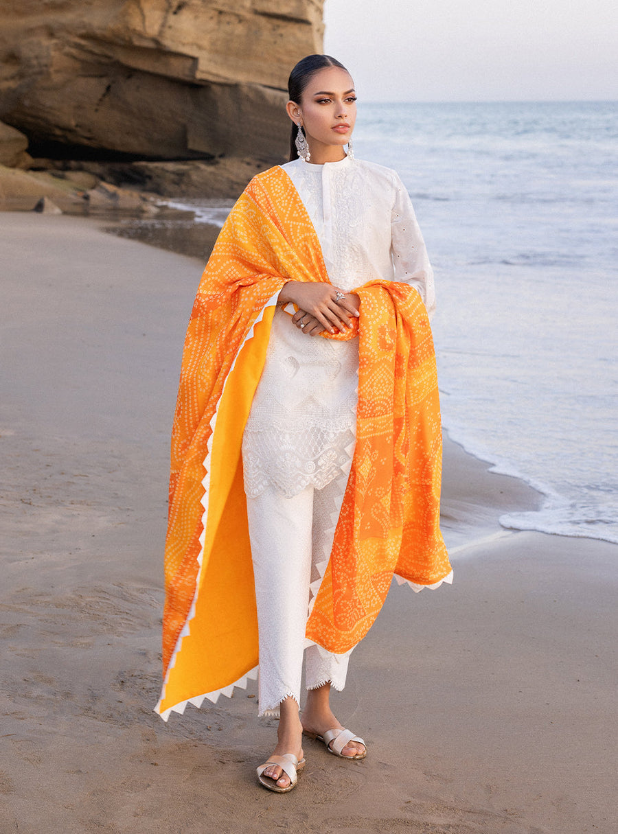 Zainab Chottani Embroidered Chikankari Lawn Unstitched 3Pc Suit D-03B Chunari