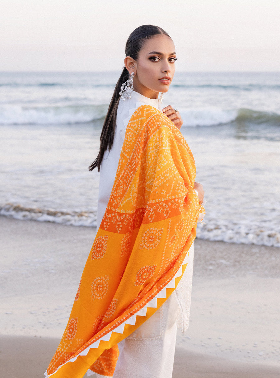 Zainab Chottani Embroidered Chikankari Lawn Unstitched 3Pc Suit D-03B Chunari