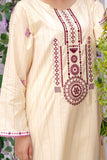 Safwa Embroidered Pret Lawn 1Pc Shirt 3R-1P-EMB-102