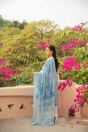 Nishat Summer Unstitched Printed Lawn 2Pc Suit - 42401112