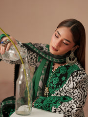 Bin Ilyas Jojo Summer Embroidered Lawn Unstitched 3Pc Suit D-85A