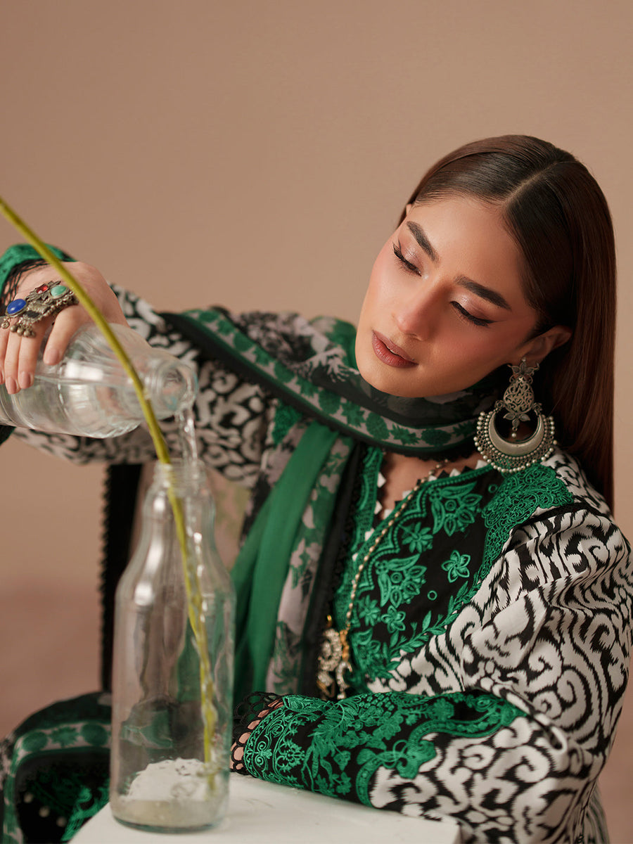 Bin Ilyas Jojo Summer Embroidered Lawn Unstitched 3Pc Suit D-85A