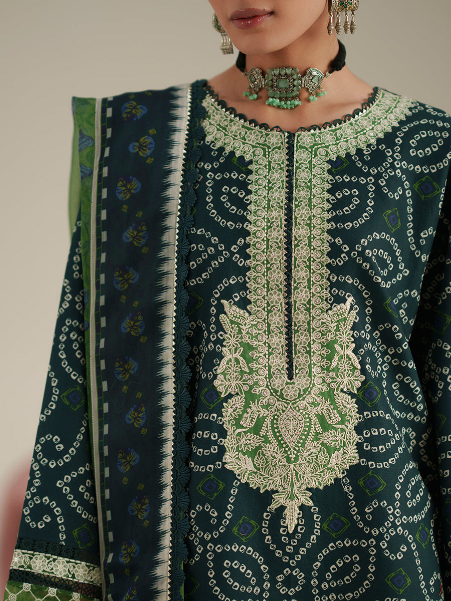 Bin Ilyas Jojo Summer Embroidered Lawn Unstitched 3Pc Suit D-87B